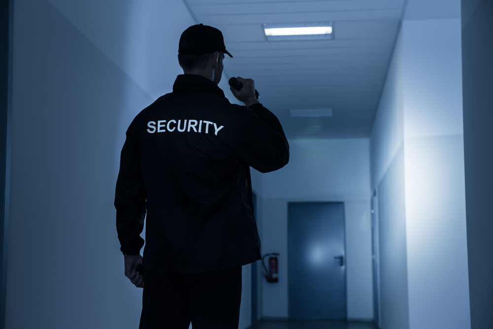 The morale of security officers - International Security Journal (ISJ)