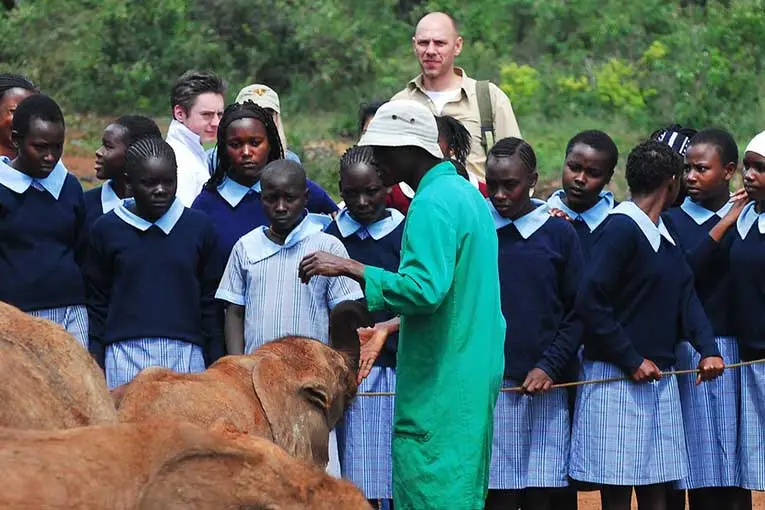 what is an ngo image