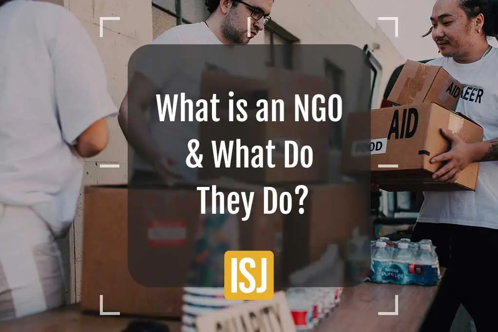 what is an ngo