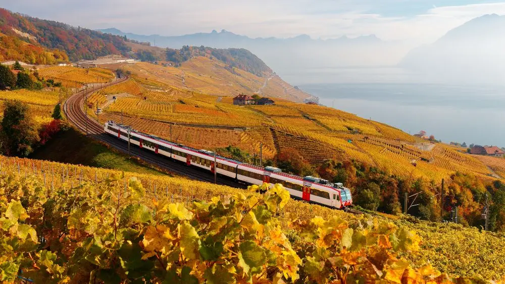 Case-Study-Swiss-Federal-Railways