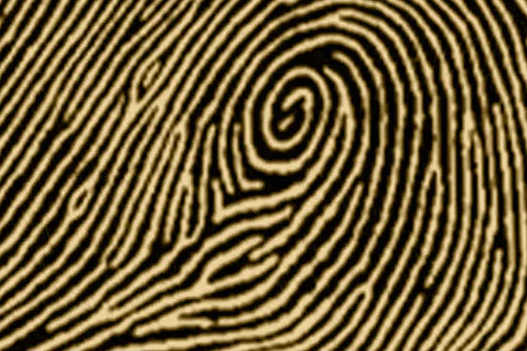 types of fingerprints central pocket loop