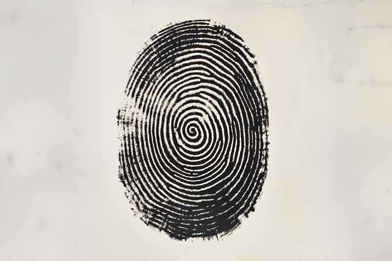 1-ISJ- 8 Most Common Types of Fingerprints what are fingerprints