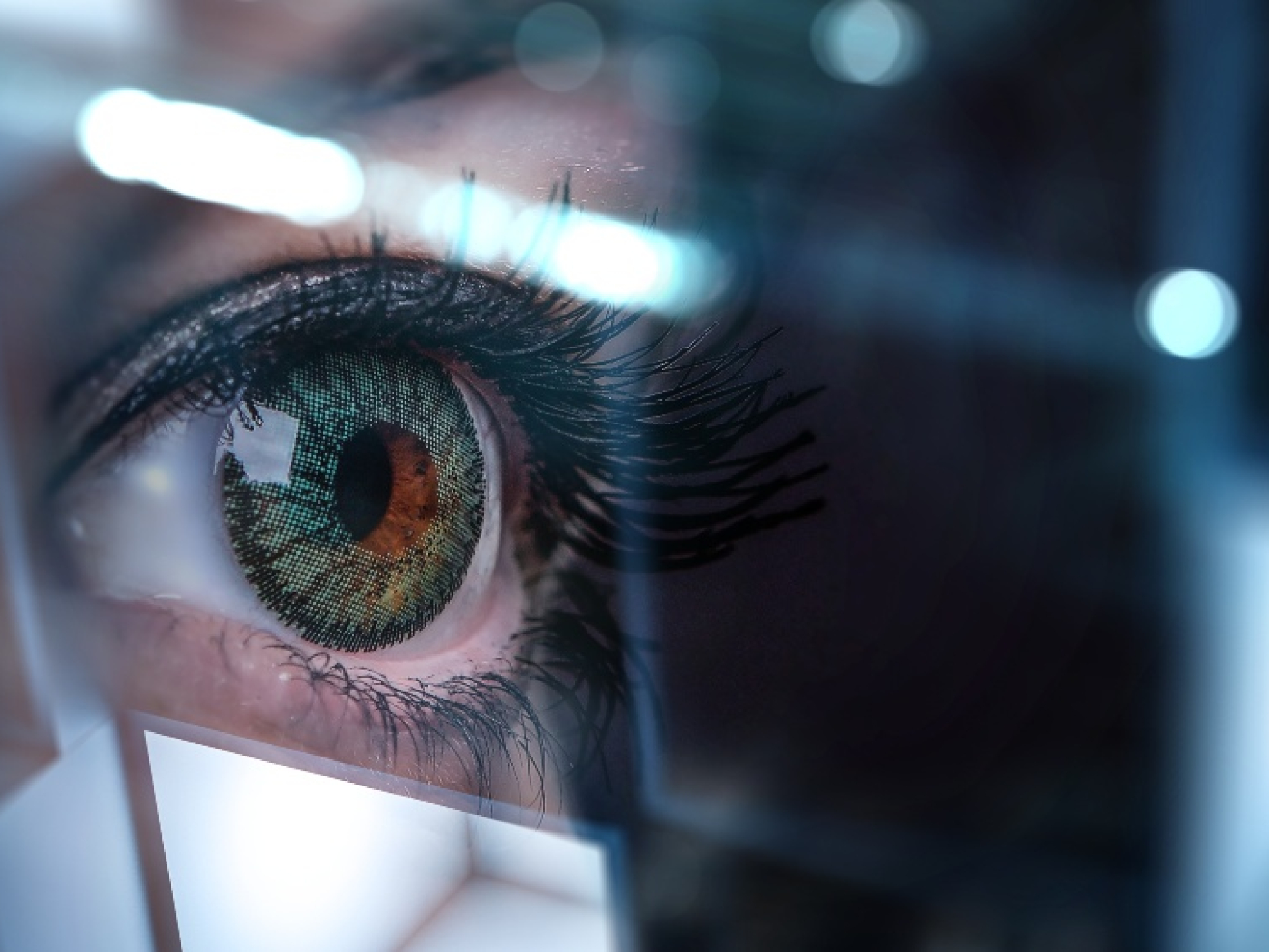 Iris-ID-Exclusive:-Eyes-on-access