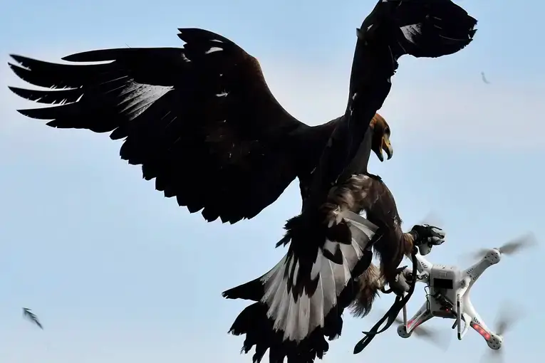 10-ISJ- What is a Drone Jammer & Are They Legal? 9-ISJ- What is a Drone Jammer & Are They Legal?