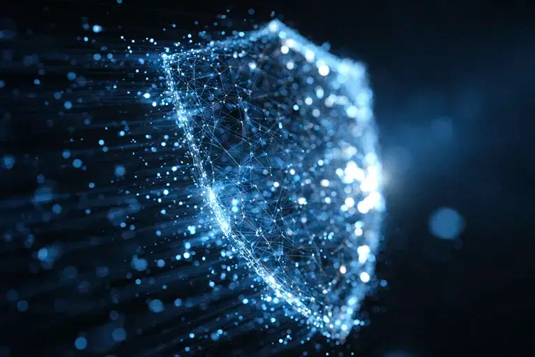 IT Network Shield