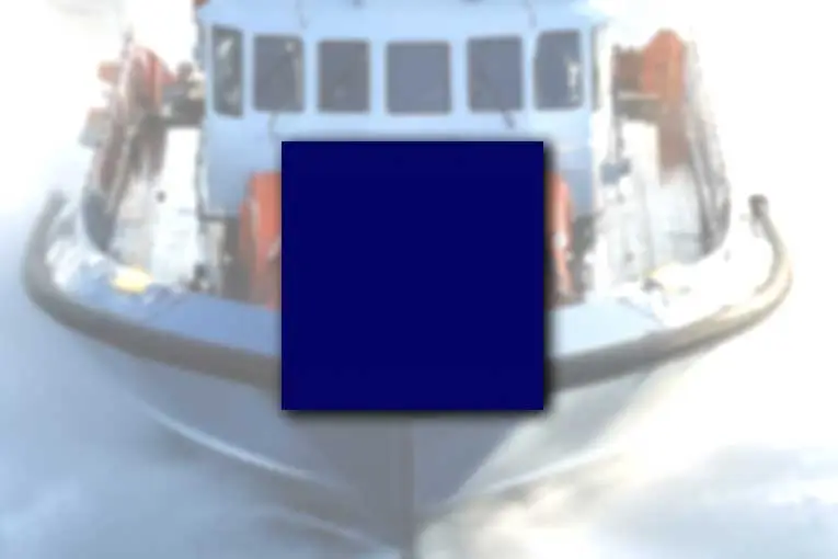 seaman recruit united states coast guard ranks