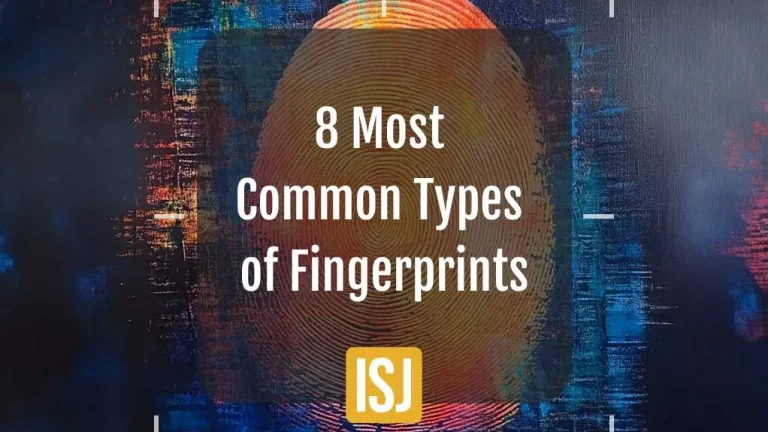 types of fingerprints