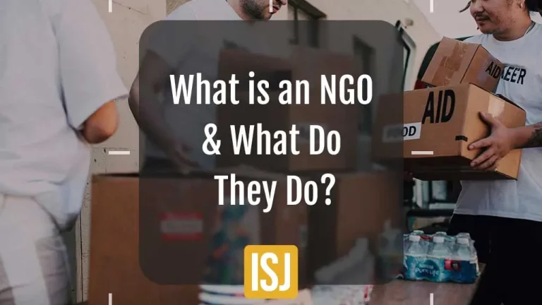what is an ngo